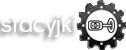 Naprawa i Regeneracja Stacyjek Samochodowych Gorzów Wielkopolski - LOGO